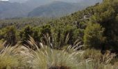 Tocht Stappen Los Guájares - Au dessus de Gujar Alto - Photo 2