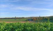 Tour Wandern Heerlen - Putberg tot Slakkenpad en terug  - Photo 8