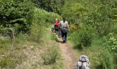 Trail Walking Habay - Mageroy ADEPS 2022 10 km - Photo 6