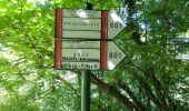 Trail On foot Carenno - Sentiero 801D: Convento del Pertus - Erve - Photo 9