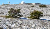 Tour Wandern Cipières - Cipières - Sommet de Calern - Oratoire ND de Calern - Observatoire de la Côte d'Azur - Photo 10