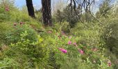 Trail  Castillon - Grammondo 3 - Photo 10