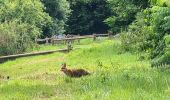 Trail Walking Meaux - Le chemin de St Colomban en Ile de France Etape 3 Jouarre Meaux - Photo 10