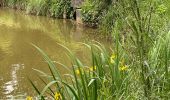 Trail Walking Jouy-en-Josas - Viltain - Photo 1
