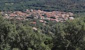 Tour Wandern Montesquieu-des-Albères - Collioure Montesquieu les Albères - Photo 2