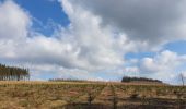 Tour Wandern Libramont-Chevigny - rando bras-bas 19/03/2021 - Photo 12