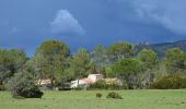 Tour Wandern Puget-sur-Argens - La Lieutenante - Circuit des étangs - Photo 1