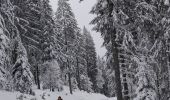 Trail Snowshoes Autrans-Méaudre en Vercors - Balade Gros Martel - Photo 6