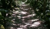 Trail Walking Saint-Antonin-Noble-Val - sentier de Lou Finot - Photo 2