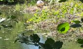 Excursión Senderismo Nivelles - Balade en boucle départ Monstreux - Photo 20