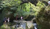 Tour Zu Fuß Waldbillig - mullerthal-2- 9.7 km  (102) - Photo 1