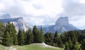 Excursión Senderismo Châtillon-en-Diois - Vallon de Combau - Pas de l'Aiguille - Photo 12