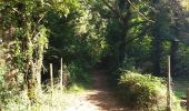 Trail Walking Pampelonne - Fontbonne  autour du barrage - Photo 10