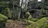 Tour Wandern Sankt Kreuz im Lebertal - boucle col haut de Ribeauvillé - taennchel sentier des roches  - Photo 12