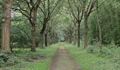 Tour Wandern Puurs-Sint-Amands - Randonnée à Sauvegarde  - Photo 12