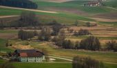 Excursión A pie Peuerbach - Panoramaweg Süd - Photo 10