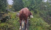 Excursión Senderismo Passy - J27 - R25 - 🍂🍁 Plaine-Joux - Les Ayères  - Lac Vert 🍁🍂
 - Photo 6