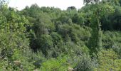 Trail Walking Bouillon - Corbion - Promenade des 3 légendes (version longue)  - Photo 2