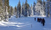 Randonnée Raquettes à neige Les Rousses - Noirmont et mont Sala Suisse - Photo 5