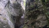 Trail Walking Le Chaffal - les arches de Combleroufle - Photo 3