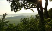 Trail On foot Badacsonytomaj - Kuruc-körút tanösvény - Photo 10