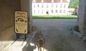 Trail Bicycle tourism Villeneuve-sur-Yonne - SEJOUR EN BOURGOGNE - Photo 3