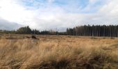 Tocht Stappen Malmedy - malmedy . ferme libert .  tro maret . ferme libert . malmedy par les crêtes  - Photo 7