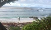 Trail Nordic walking Sainte-Anne - Fond grand ma  modette le littoral  - Photo 14