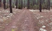 Tour Wandern Carcans - Fifi/zot - Photo 13