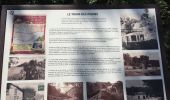 Tocht Stappen Cavalaire-sur-Mer - Cavalaire 2  - Photo 12