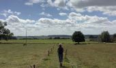 Tour Wandern Assesse - Maillen Crupet bois d’Arche 27/08/20 revoir chemins privés - Photo 1