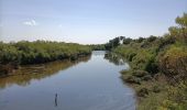 Randonnée Marche Le Teich - Le Teich - Photo 3