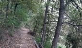 Trail Walking Andenne - Geron(Andenne) -   Surlemez(Couthuin) circuit - Photo 8