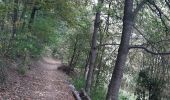 Tour Wandern Andenne - Geron(Andenne) -   Surlemez(Couthuin) circuit - Photo 8