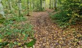 Trail Walking Vendôme - Petit parcours dans la partie Sud-est du Bois de l'Oratoire - Photo 14