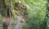 Tour Wandern Casteil - rando casteil du cady - Photo 1