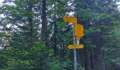 Trail On foot Val de Bagnes - Sentier des mines - Photo 3