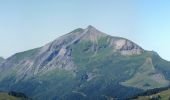 Excursión Senderismo Les Houches - Trajet Aiguillette des Houches - Photo 18