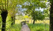 Randonnée Marche Diepenbeek - La vallée du Démer - La réserve naturelle Dorpsbemden à Diepenbeek - Photo 3