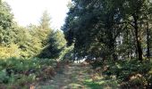 Trail Walking Huy - Malhavez - Sart - Vieux-Barse - Photo 9
