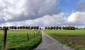 Tocht Stappen Incourt - Promenade du Tumulus (6,1km)  - Photo 16