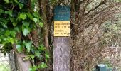 Trail Walking Plan-de-Baix - Canyon du Gueulards- Ombleze - Photo 1