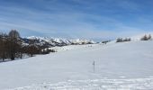Tour Schneeschuhwandern Roubion - PIN POURRI - Photo 8