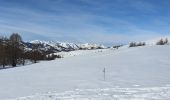 Randonnée Raquettes à neige Roubion - PIN POURRI - Photo 8