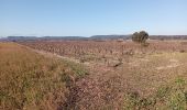 Trail Walking Sommières - Sommieres  (19-12-2021) - Photo 16