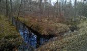 Excursión Senderismo Fontainebleau - L'épine et la mare aux évés - Photo 2