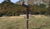 Excursión Senderismo Chambon-sur-Lac - Chaudefour sancy par kes crêtes  - Photo 16