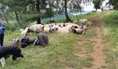 Trail Walking Aydat - Puy de Vichatel depuis la Garandie - Photo 9