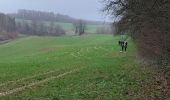 Trail Walking Meix-devant-Virton - Gite-de-gaume : Entre France et Belgique  - Photo 3