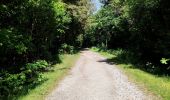 Tour Wandern Esch an der Sauer - Promenade au lac de la Haute-Sûre   - Photo 9